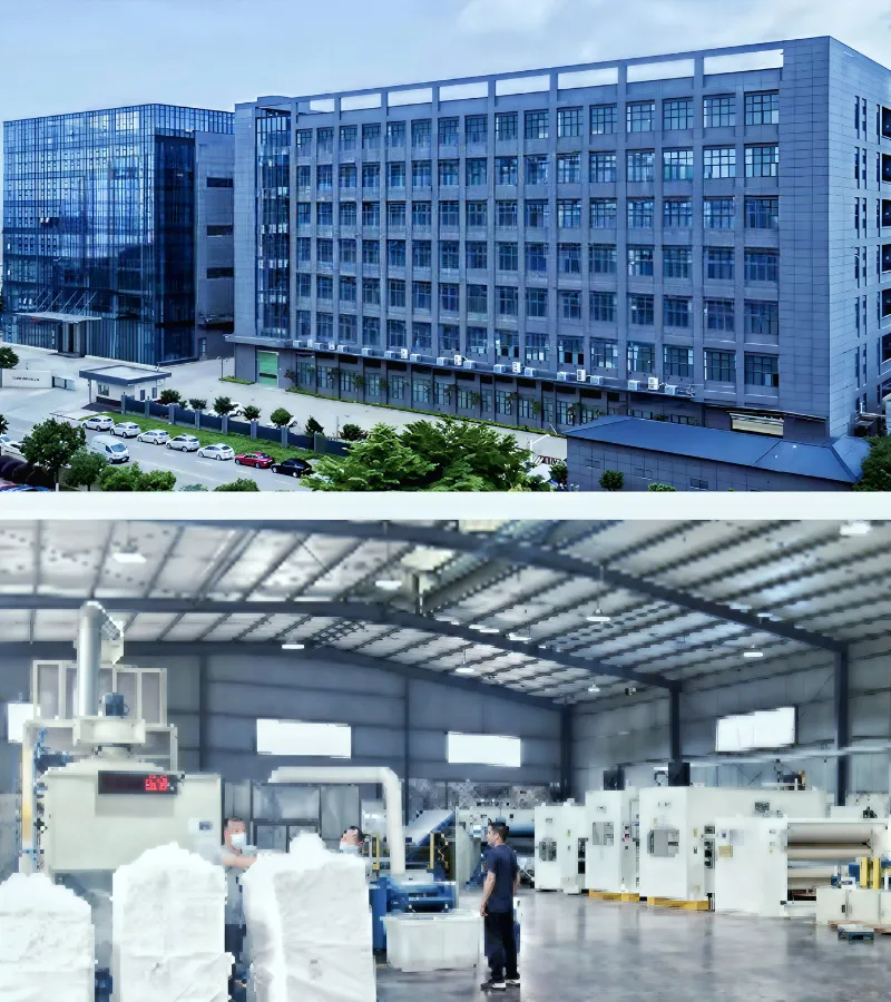 Our Core Capabilities12